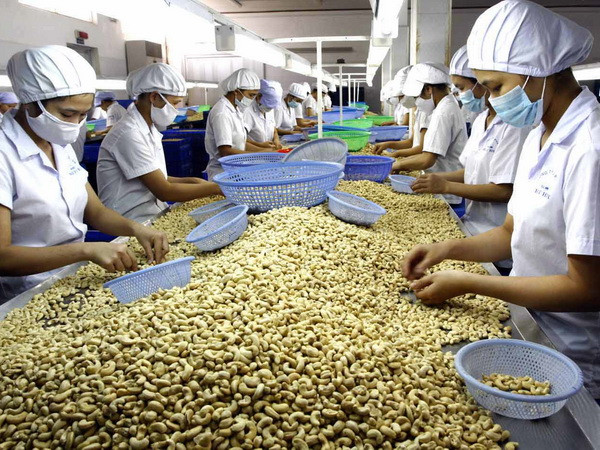 Les exportations agricoles vietnamiennes en hausse, tirées par les marchés asiatiques
